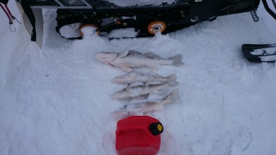 DSC_0007.JPG