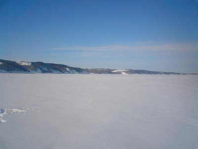 DSC00447-1.JPG