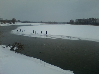IMG00201.jpg