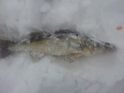 20150221_135213.jpg