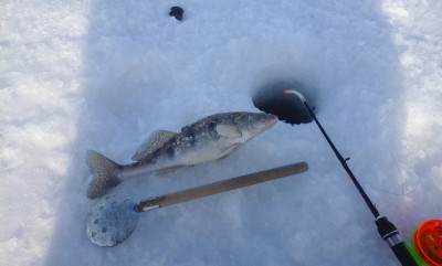 IMG-20150223-WA0002.jpeg