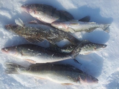 20150228_142721.jpg