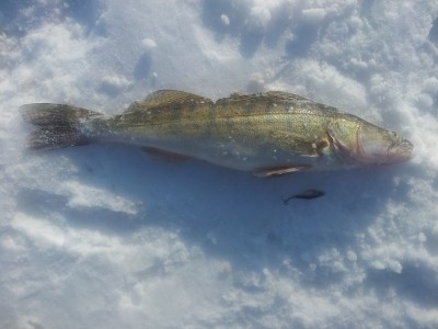20150228_142833.jpg