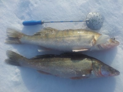 20150301_150027.jpg