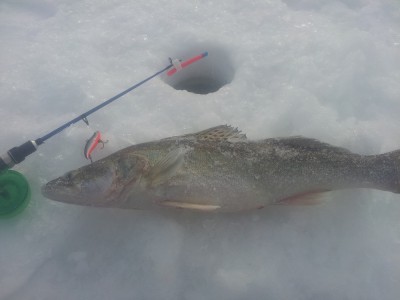 20150301_104059.jpg