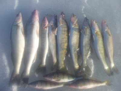 20150328_160426.jpg