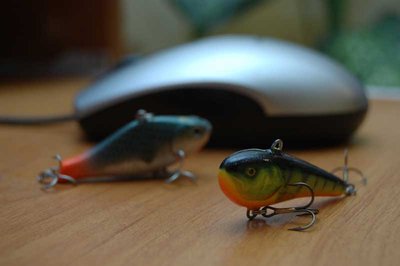 Salmo.jpg