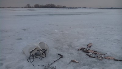 Рыба найдена ,за рыбалку...
