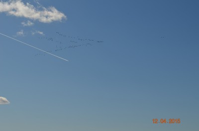 DSC_0064.JPG