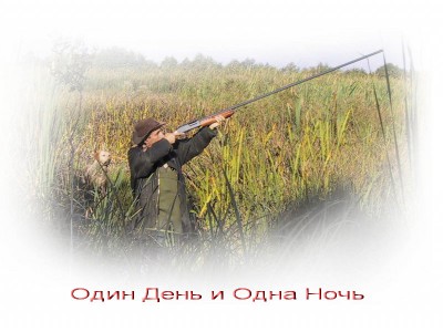 деньночь.jpg