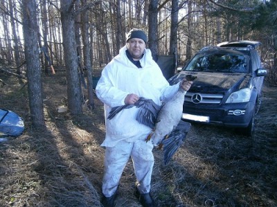 Утро-1.jpg