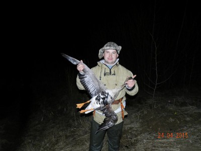 д.jpg