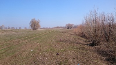 DSC_0148.JPG