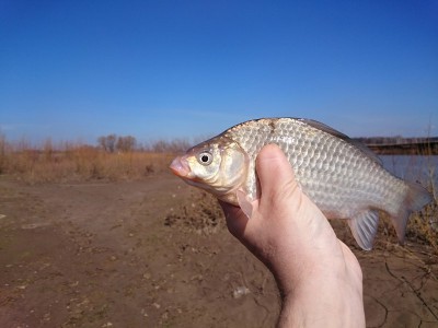 DSC_0156.JPG