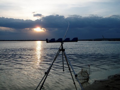 P4300647.jpg