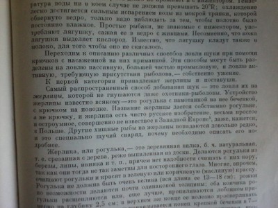 IMG00375.jpg