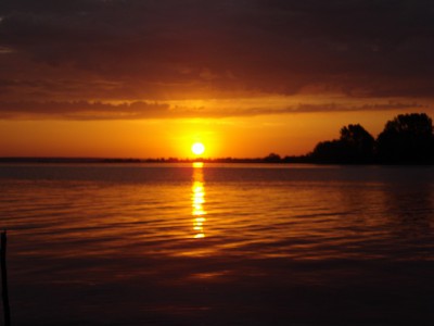 DSC00091.jpg