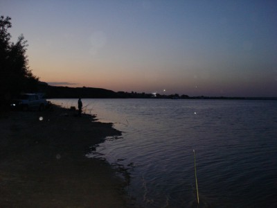 DSC00082.jpg