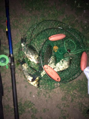 IMG-20150601-WA0003.jpg