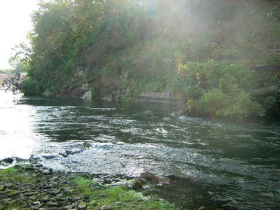 IMG_2245.jpg