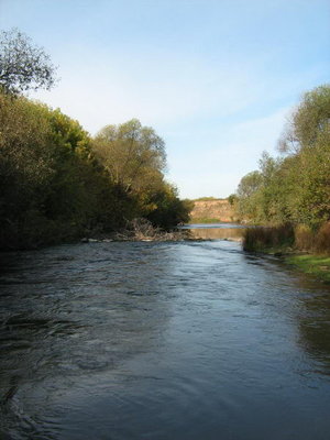 IMG_2252.jpg