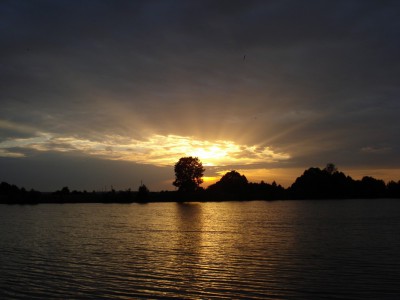 DSC00169.jpg