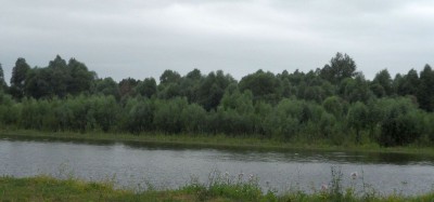 SAM_2820_12.jpg