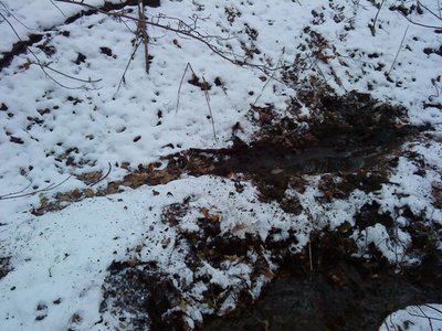 А потом пошли к озеру купатся. Друг случайно увидил сказал было 8.
