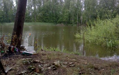 IMG256-1.jpg