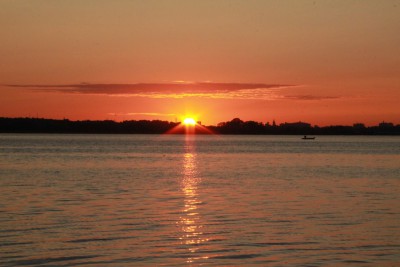 IMG_7233.jpg