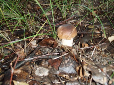 P7240145.jpg