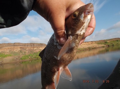 DSCF6458.JPG