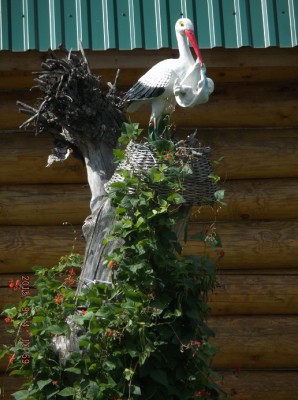 DSCF6838.jpg