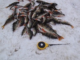 3 кг..jpg