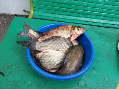 20150819_094242.jpg