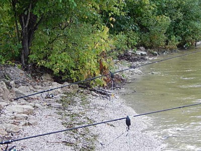 DSCN0928.JPG