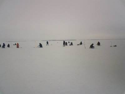 DSC00502-1.jpg