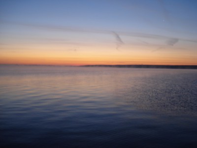 DSC00421.jpg