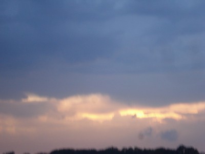 DSC00457.jpg