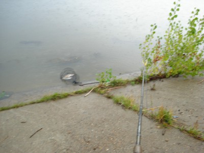 DSC00453.jpg