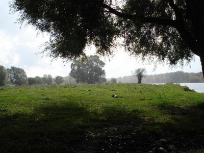 DSC00489.jpg