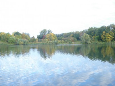 DSC00473.jpg
