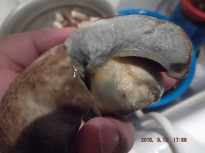 DSCF8310.JPG