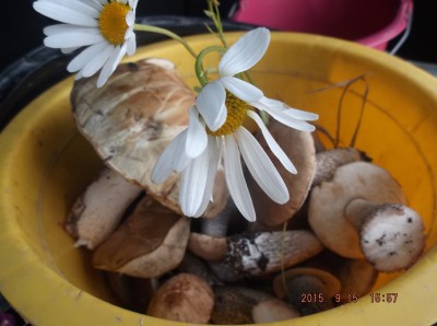 DSCF8416.jpg