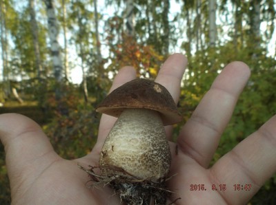 DSCF8415.jpg