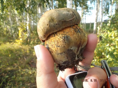 DSCF8406.jpg