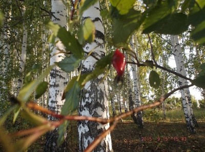 DSCF8413.jpg