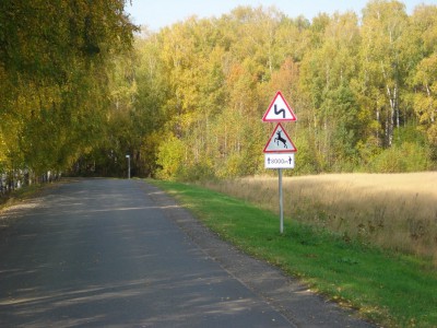 DSC00609.jpg