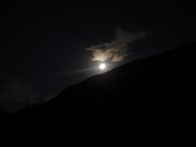 DSC00618.jpg