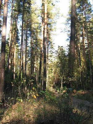 IMG_1496.jpg